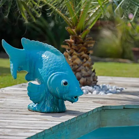 Very Quiet With Pool Perfect Area *